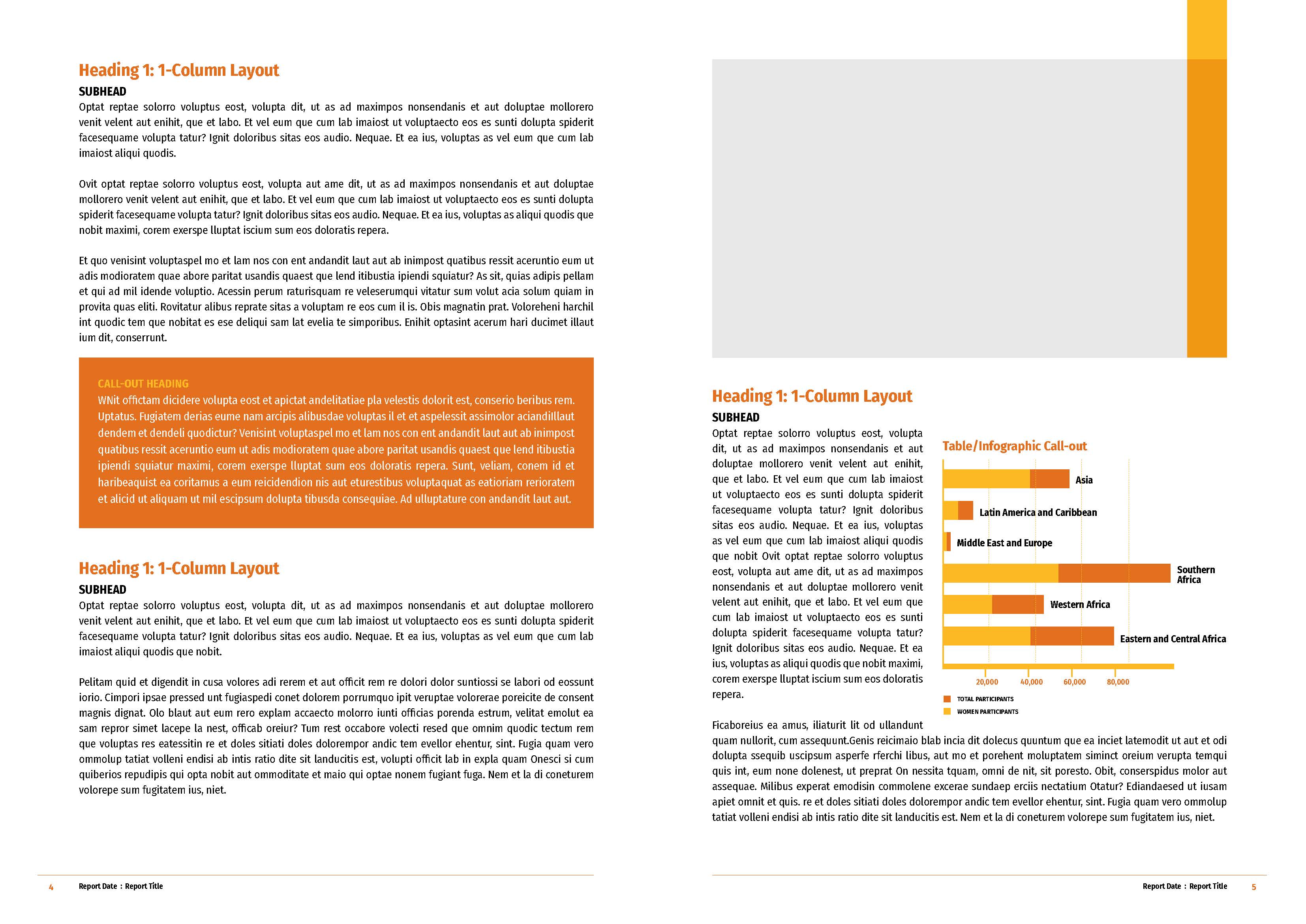 International Report - Multipage Template