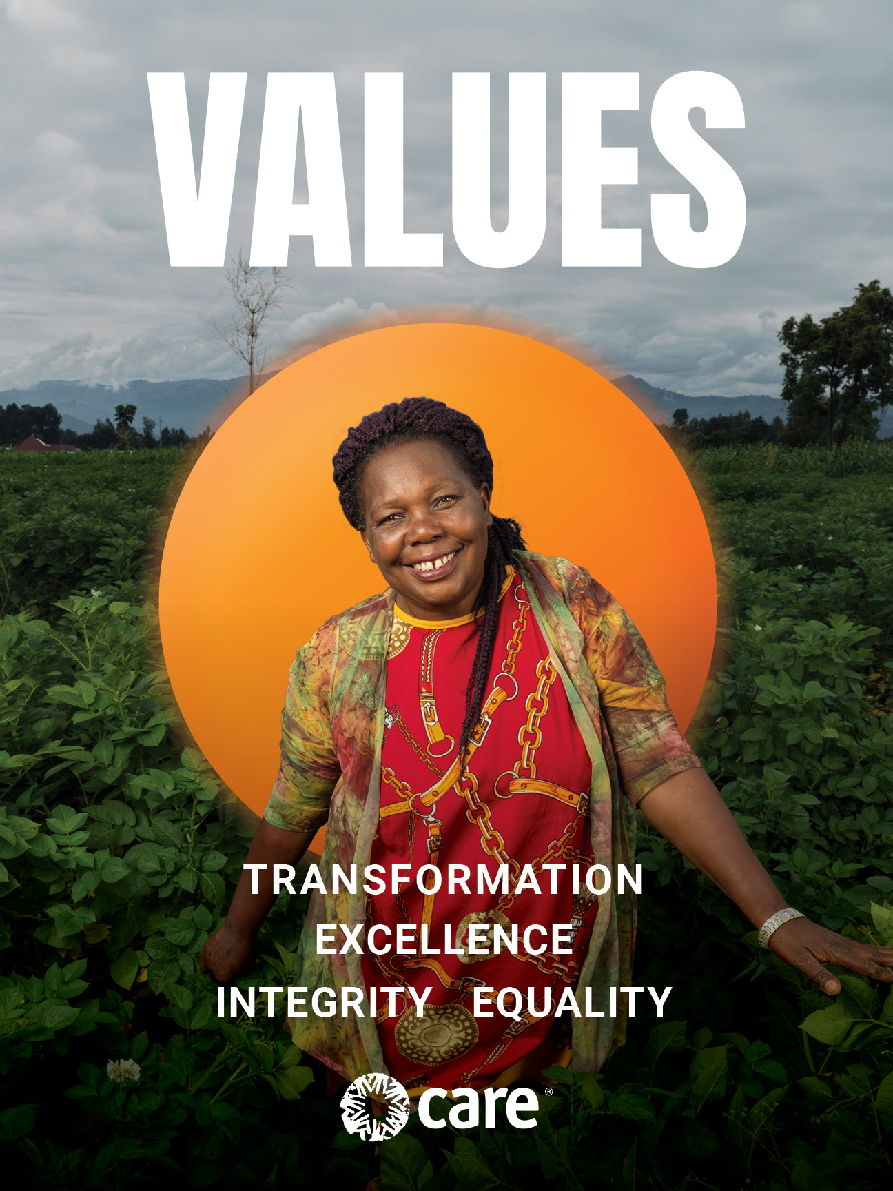 Values "Our values - transformation, integrity, diversity, excellence, equality."